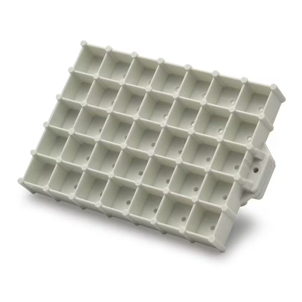 Stampo Pane Tartaruga Professionale In Plastica